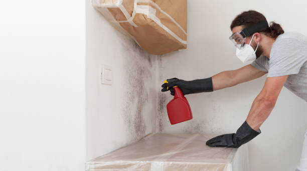 Professional Commercial Mold Remediation technician working in Garden City, NY