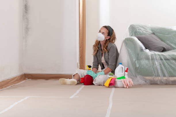 Reliable Commercial Mold Remediation contractor in Garden City, NY by WQB Mold Removal